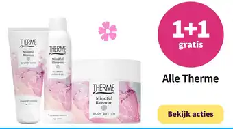 Plein.nl Therme aanbieding