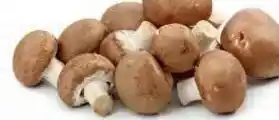 Ekoplaza KASTANJE CHAMPIGNONS aanbieding