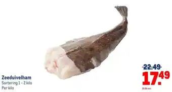 Makro Zeeduivelham aanbieding