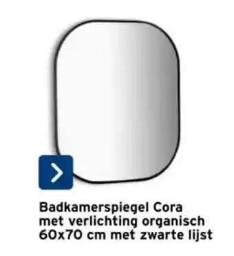 GAMMA Badkamerspiegel Cora met verlichting organisch met zwarte lijst aanbieding