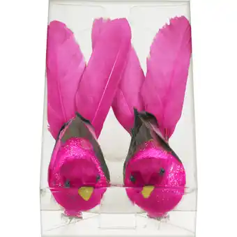 Albert Heijn AH Vogels op clip fuchsia aanbieding