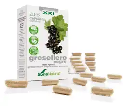 De Online Drogist Soria Natural Soria Ribes Nigrum XXI Capsules 30CP aanbieding