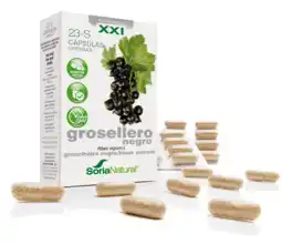 De Online Drogist Soria Natural Soria Ribes Nigrum XXI Capsules 30CP aanbieding