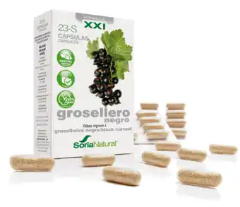 De Online Drogist Soria Natural Soria Ribes Nigrum XXI Capsules 30CP aanbieding