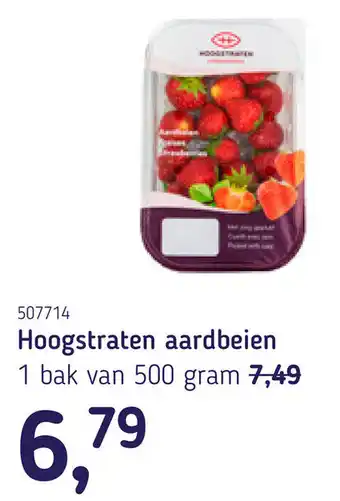 Van Hoeckel Hoogstraten aardbeien aanbieding