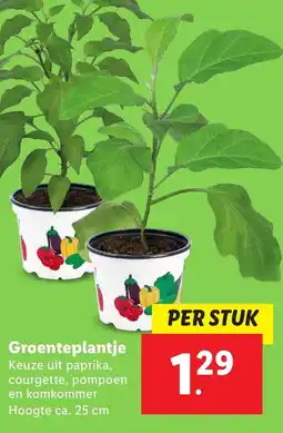 Lidl Groenteplantje aanbieding