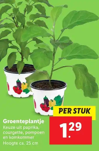 Lidl Groenteplantje aanbieding