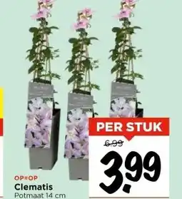Vomar Voordeelmarkt Clematis aanbieding