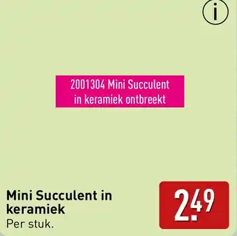 ALDI Mini Succulent in keramiek aanbieding