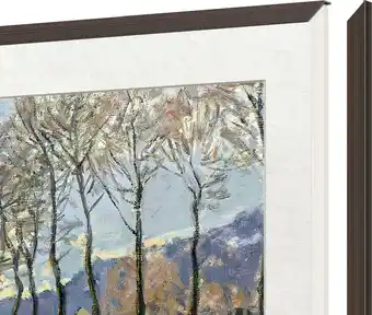 Coolblue TCL Frame Black 65 inch aanbieding
