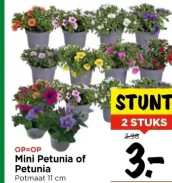 Vomar Voordeelmarkt Mini Petunia of Petunia aanbieding
