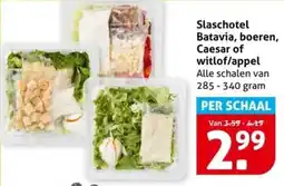 Hoogvliet Slaschotel Batavia, boeren, Caesar of witlof / appel aanbieding