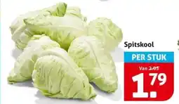 Hoogvliet Spitskool aanbieding