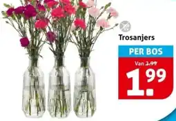 Hoogvliet Trosanjers aanbieding