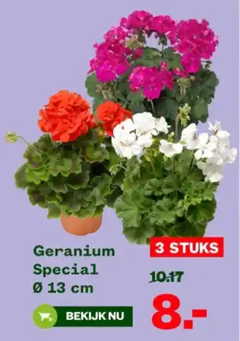 Welkoop Geranium Special aanbieding