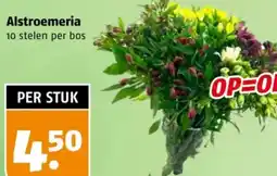 Poiesz Alstroemeria aanbieding
