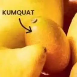 Albert Heijn Kumquat aanbieding