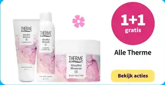 Plein.nl Alle Therme aanbieding
