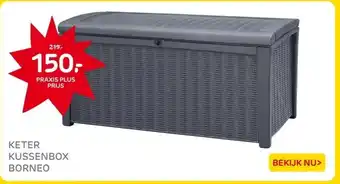 Praxis KETER KUSSENBOX BORNEO aanbieding