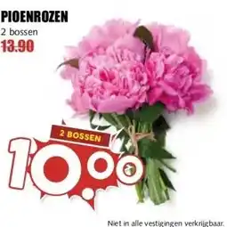 MCD Supermarkt PIOENROZEN aanbieding