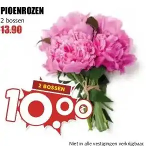 MCD Supermarkt PIOENROZEN aanbieding