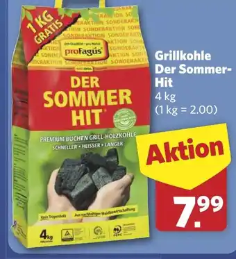 Combi Grillkohle Der Sommer Hit aanbieding