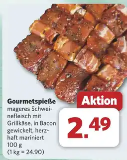 Combi Gourmetspieße aanbieding
