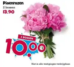 Boon`s Markt Pioenrozen aanbieding