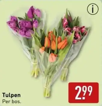 ALDI Tulpen aanbieding