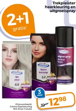 Trekpleister Trekpleister haarkleuring en uitgroeispray aanbieding