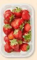 PLUS PLUS Nederlande aardbeien aanbieding