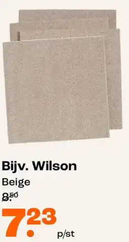 Kwantum Wilson aanbieding