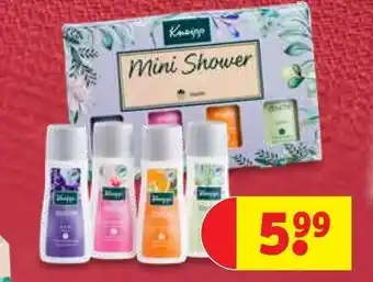 Kruidvat Mini shower aanbieding