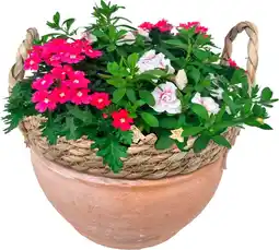 Intratuin Arragement Zomer in terracotta potD 24 H 25 cm aanbieding