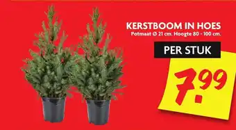 Dekamarkt Kerstboom in hoes aanbieding