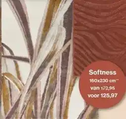 Roobol Softness aanbieding