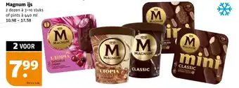 Poiesz Magnum iis aanbieding