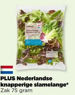 PLUS PLUS Nederlandse knapperige slamelange aanbieding