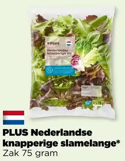PLUS Plus nederlandse knapperige slamelange aanbieding