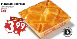 De Boerenschuur Plaatcake tropical aanbieding