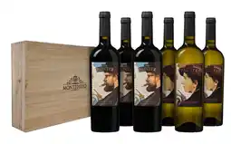 De Wijnbeurs Montedidio The Painter Kist aanbieding