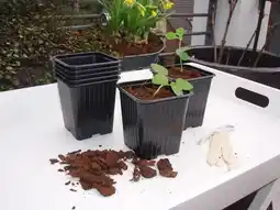 Welkoop Nature Stekpotjes - Kweekbenodigdheden aanbieding