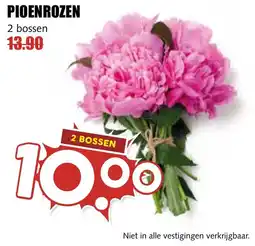 De Boerenschuur Pioenrozen aanbieding