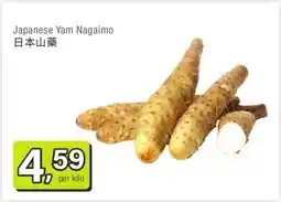 Amazing Oriëntal Japanese Yam Nagaimo 日本山藥 aanbieding