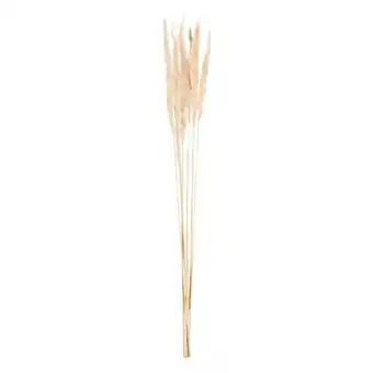 Leen Bakker Pampas pluim 6 stuks - crème - 75 cm - Leen Bakker aanbieding