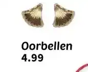 Wibra Oorbellen aanbieding