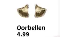 Wibra Oorbellen aanbieding