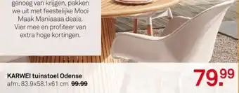 Karwei Karwei tuinstoel odense aanbieding