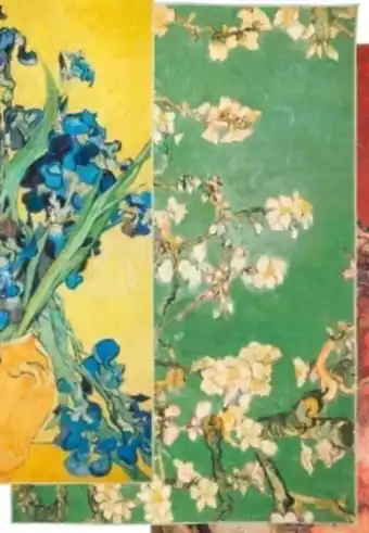Karwei Vloerkleed Van Gogh aanbieding