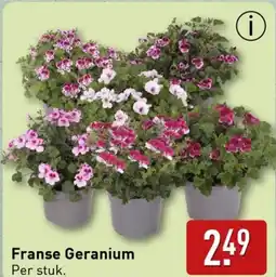 ALDI Franse Geranium aanbieding